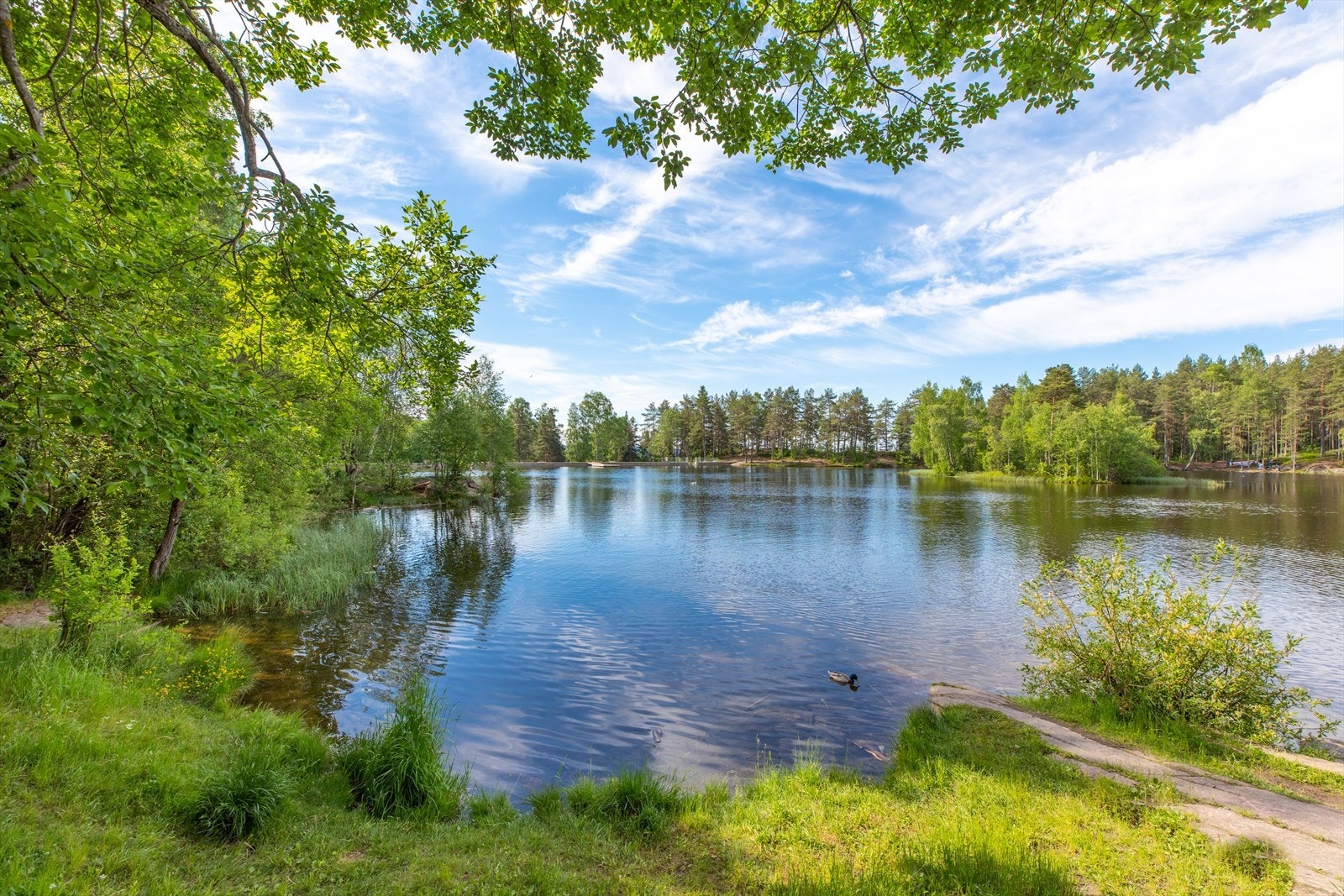 På sommerstid er det mulighet for å benytte badevann som Vesletjern. Galleribilde