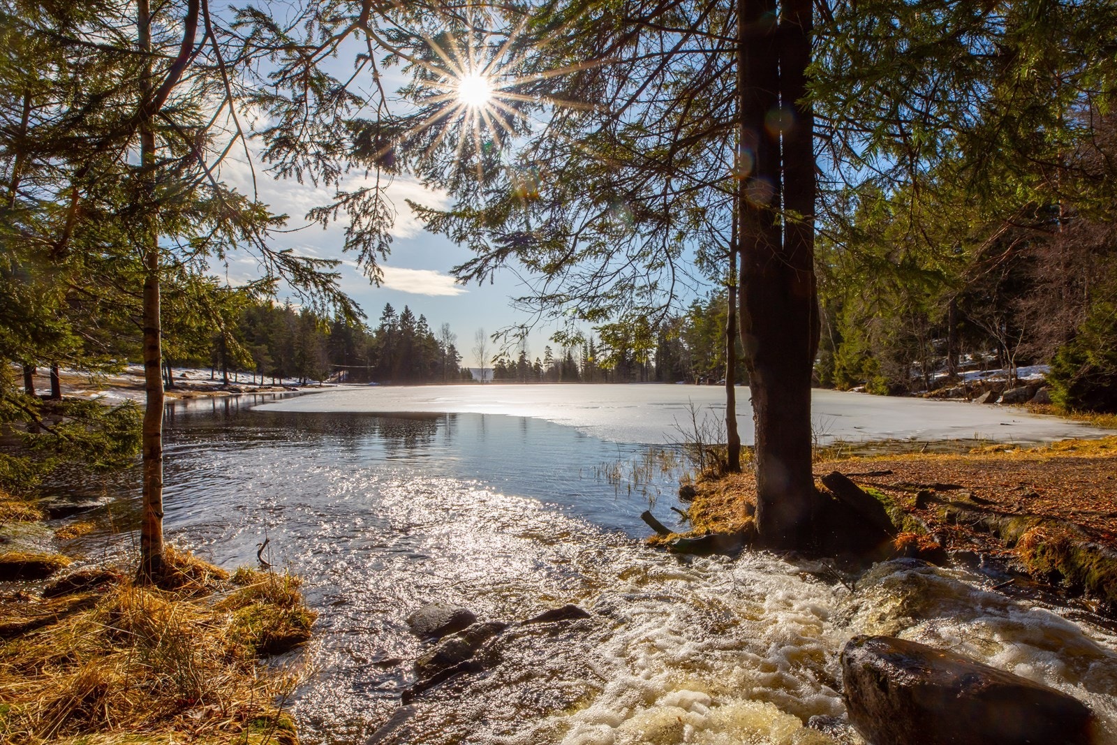 På Badedammen kan du ta en deilig dukkert sommertid. Galleribilde