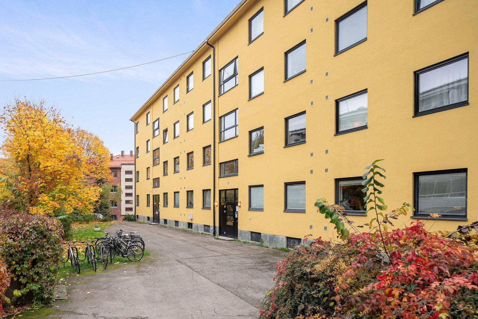 Velholdt fasade. Galleribilde