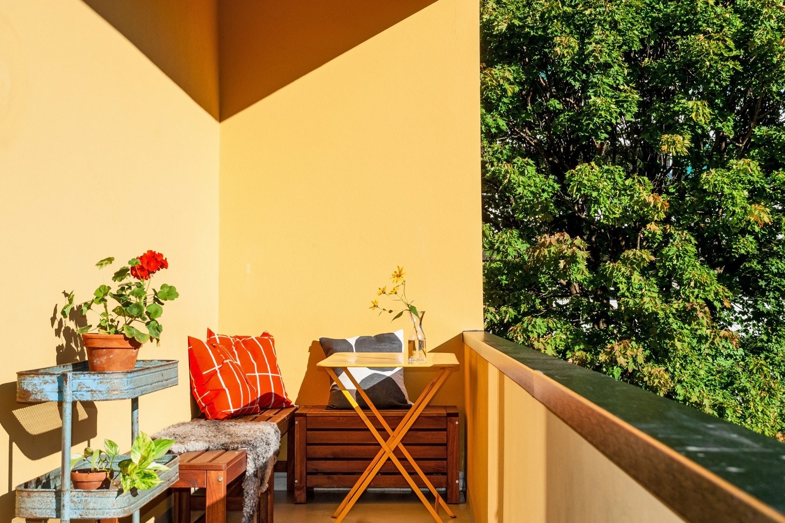 Gode solforhold! Galleribilde