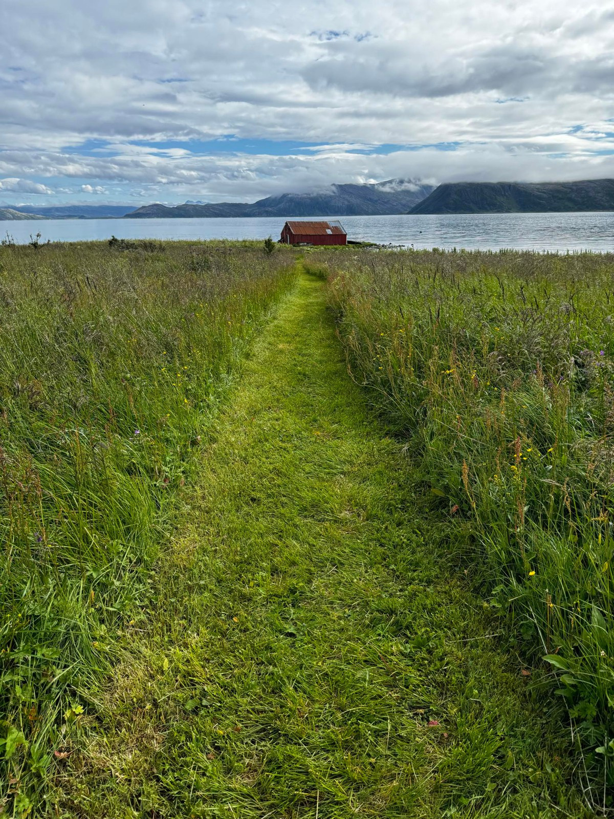 Naturen som nærmeste nabo med fine turmuligheter i området. Selgers private bilde.