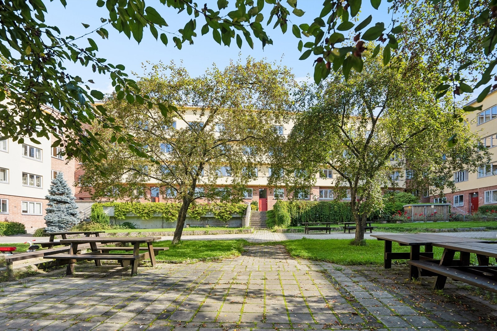 Dette er Norges største Aksjelag som er svært godt vedlikeholdt og driftet. Galleribilde