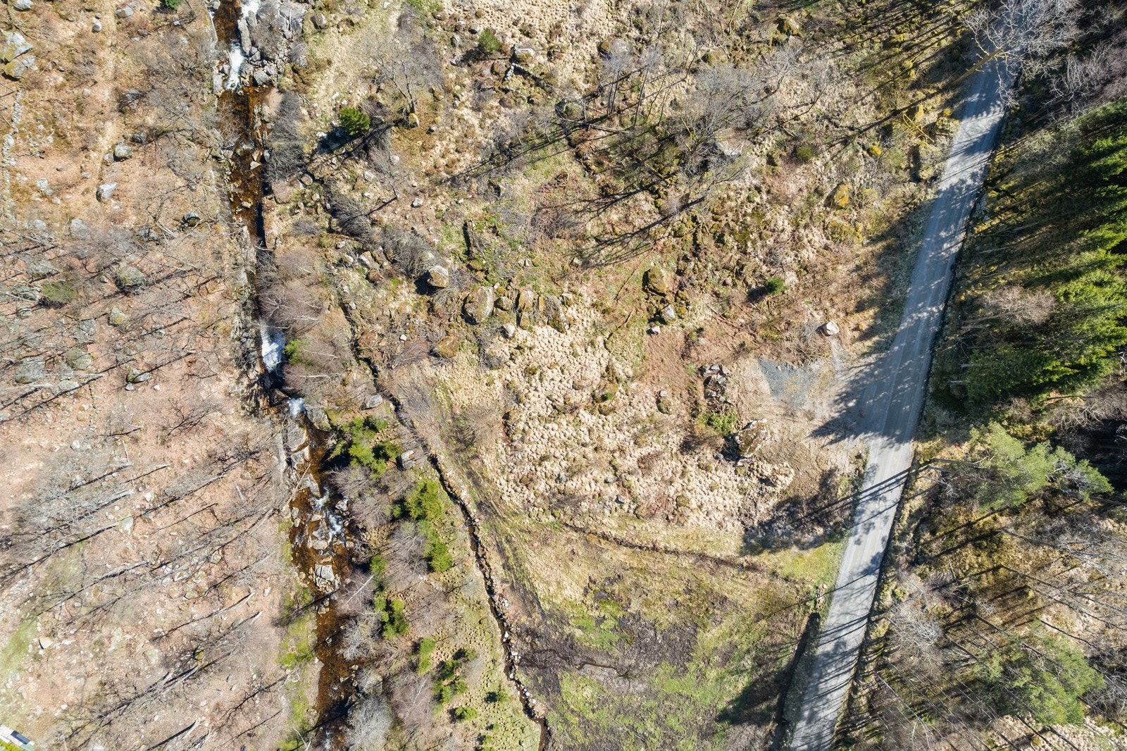 Tomta ligger like ved offentlig vei. Galleribilde