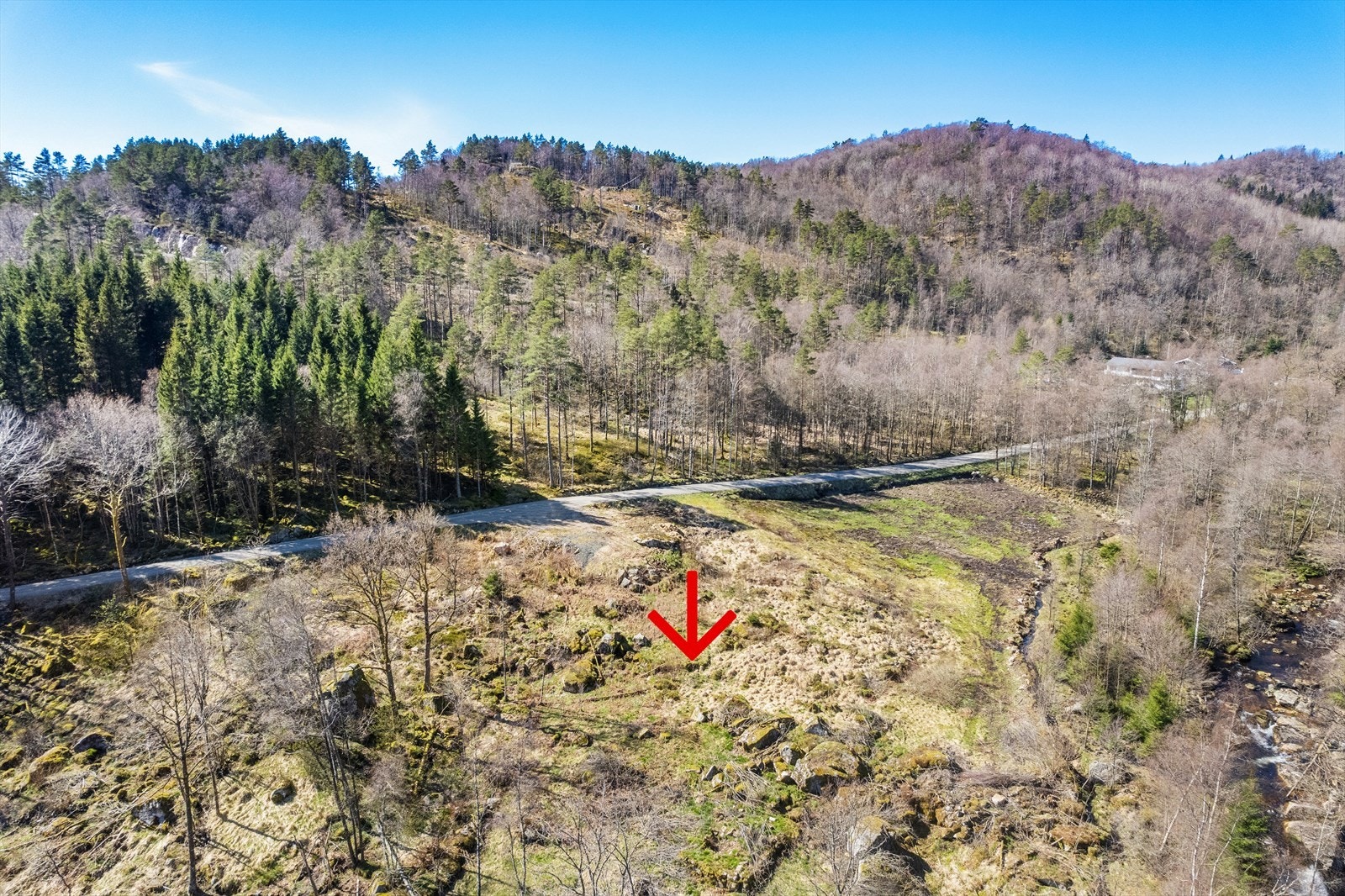 Forholdsvis flat tomt med lite vegetasjon. Galleribilde