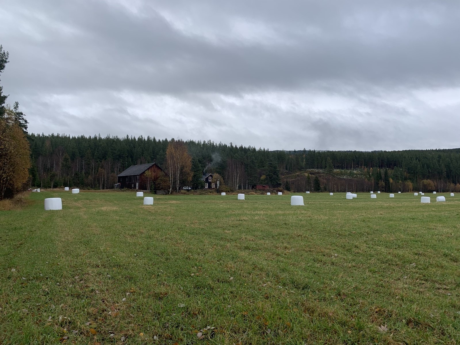 Glomvangen. Galleribilde