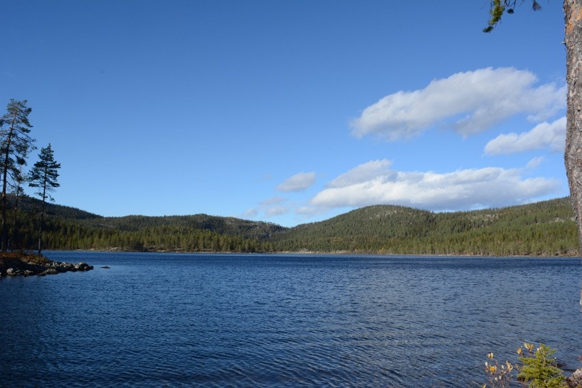 På vei opp mot setra på Granåsen kjører man forbi Børsjøen, hvor man blant annet kan bade. Galleribilde