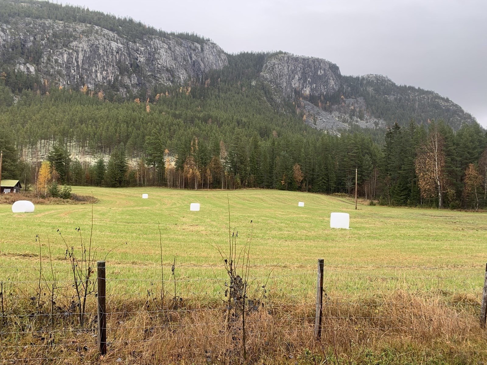 Schulhus. Galleribilde