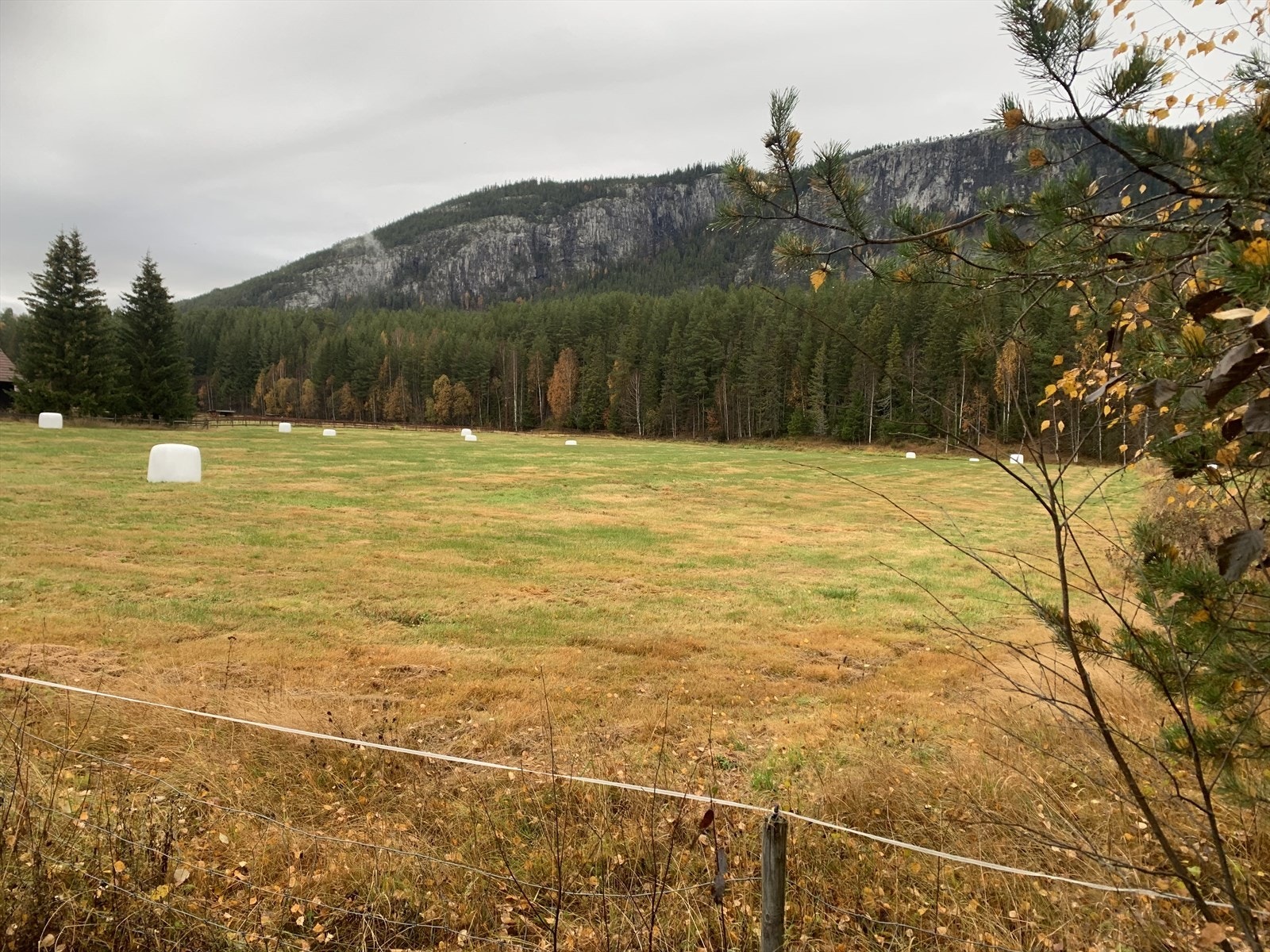 Søndre Nesset. Galleribilde