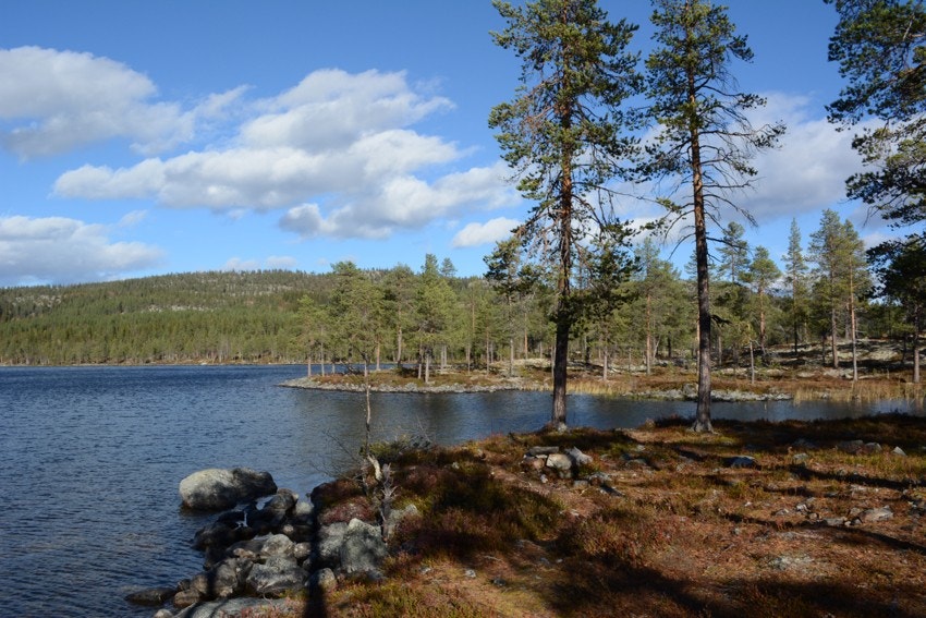 Bjørsjøen, med flere fine turmuligheter rundt. Galleribilde