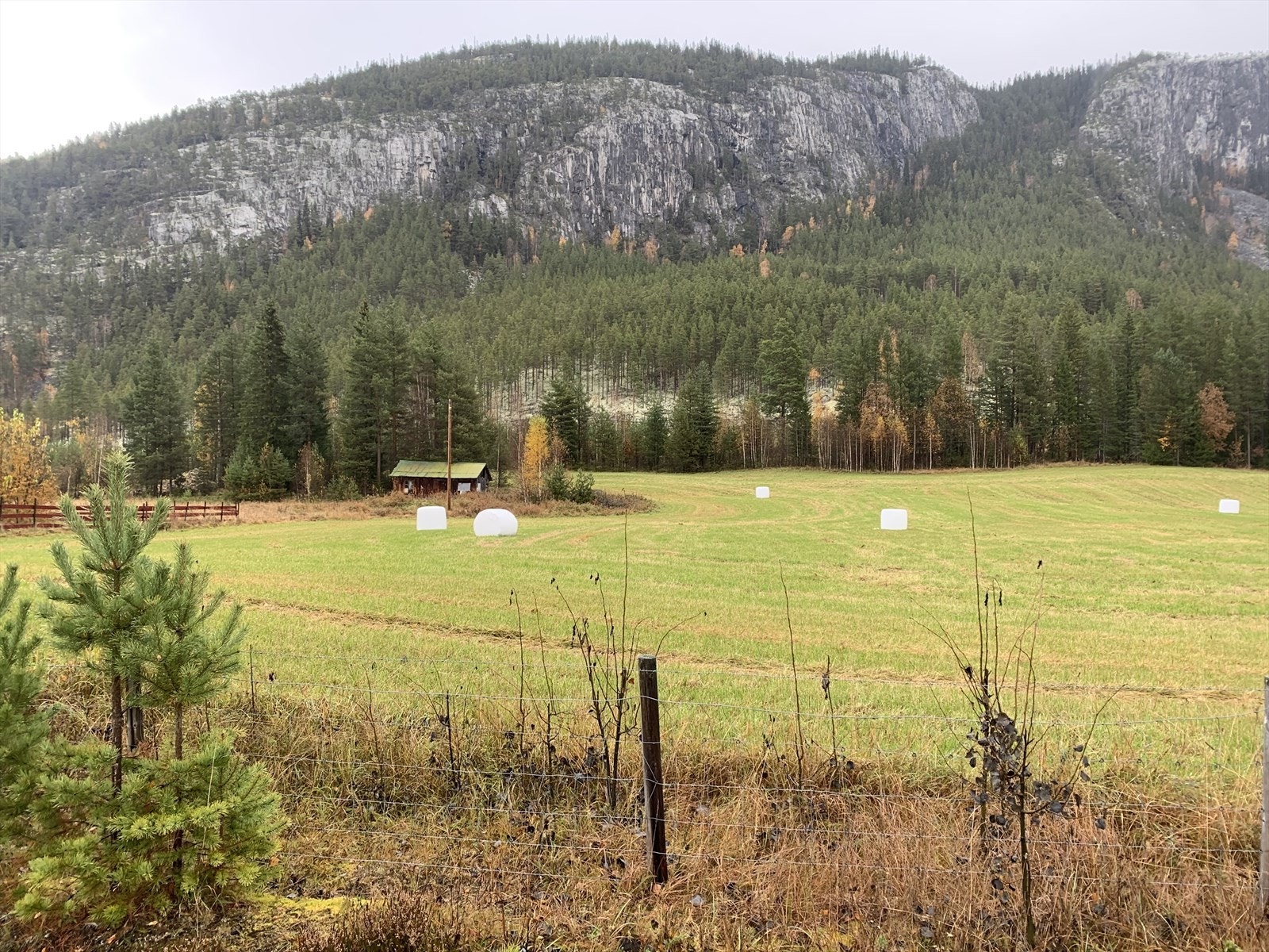 Schulhus. Galleribilde