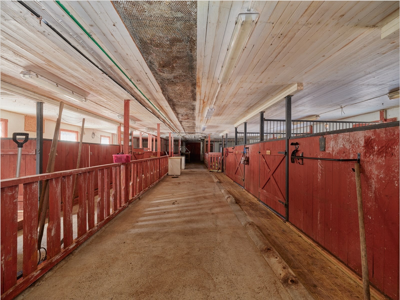 Fjøs med flere stallbokser. Galleribilde