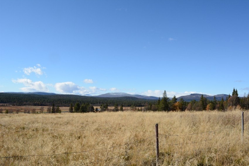Utsikt mot fjellene i Stor-Elvdal. Galleribilde