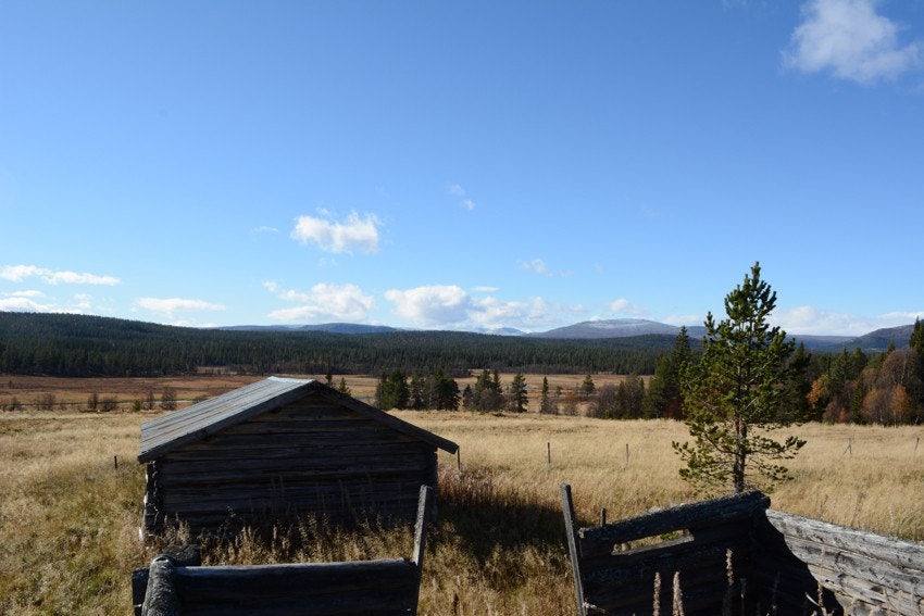 Setra på Granåsen med flott utsikt. Galleribilde