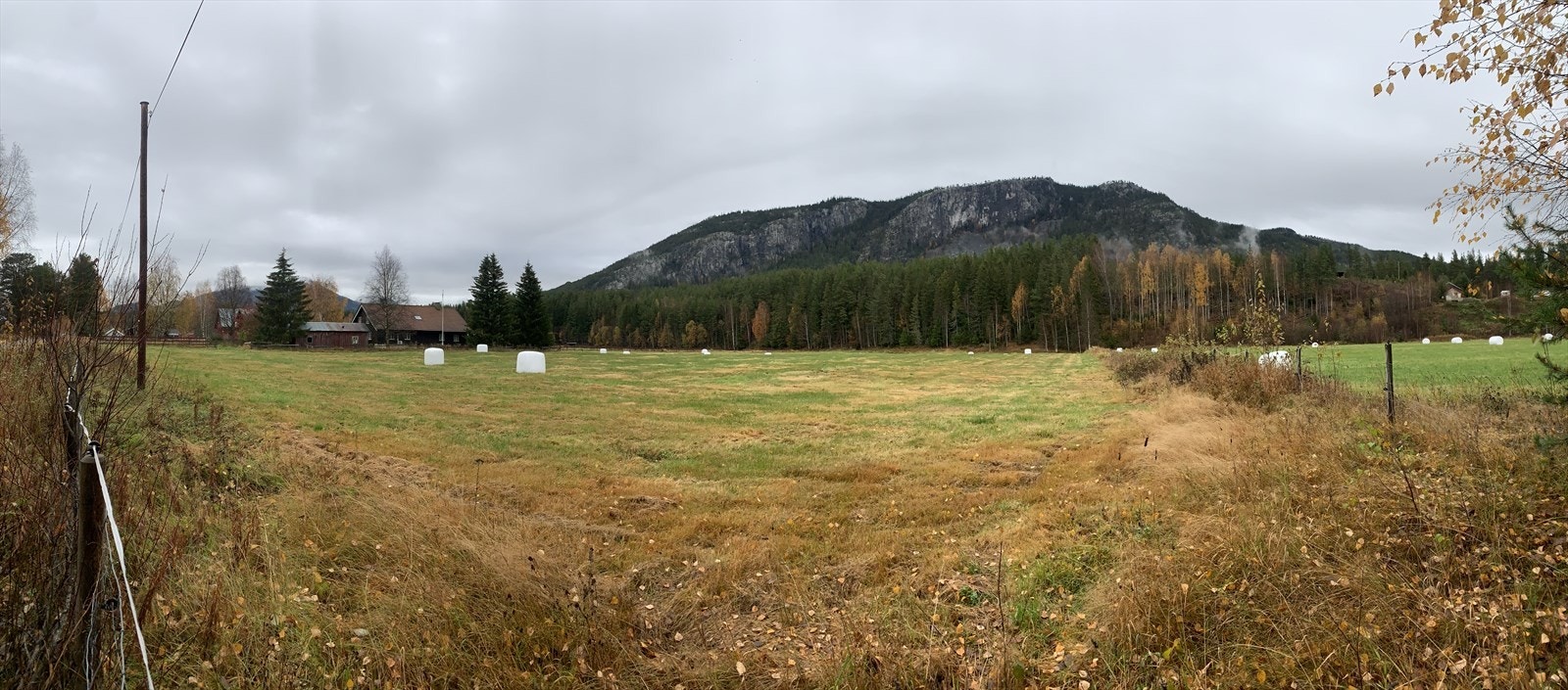 Søndre Nesset. Galleribilde