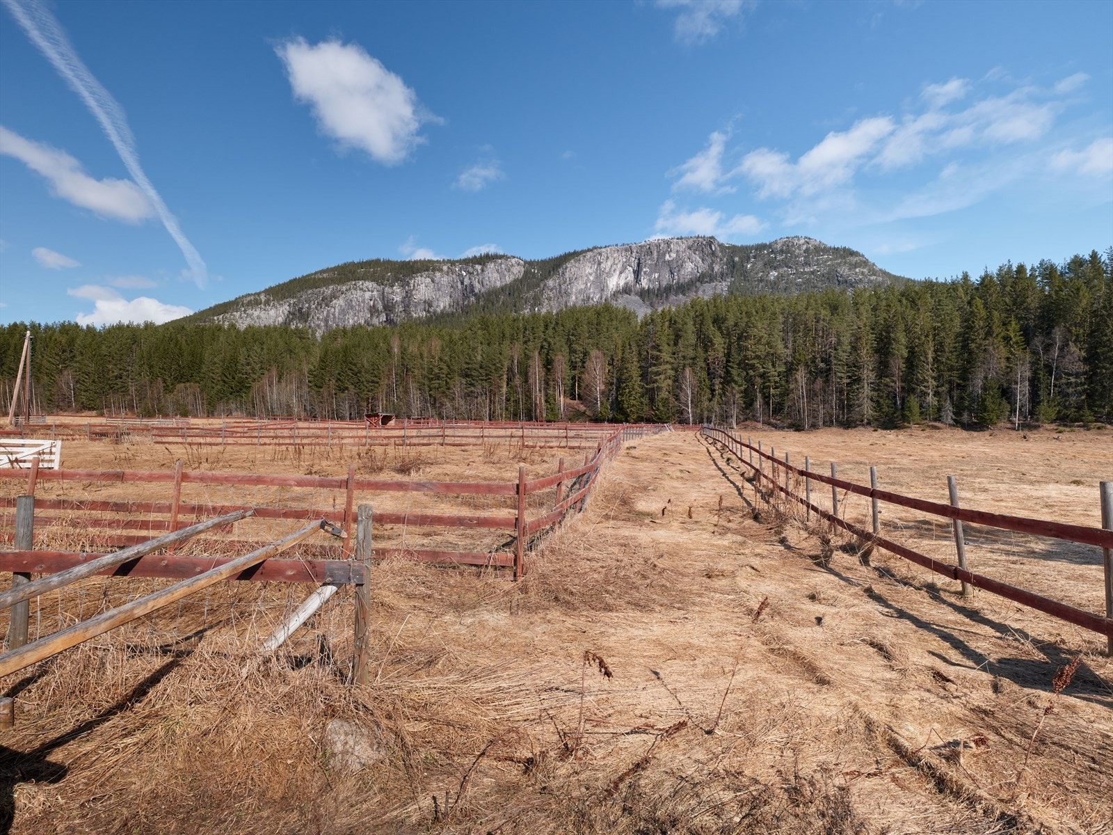 Innhegning med mange muligheter. Galleribilde