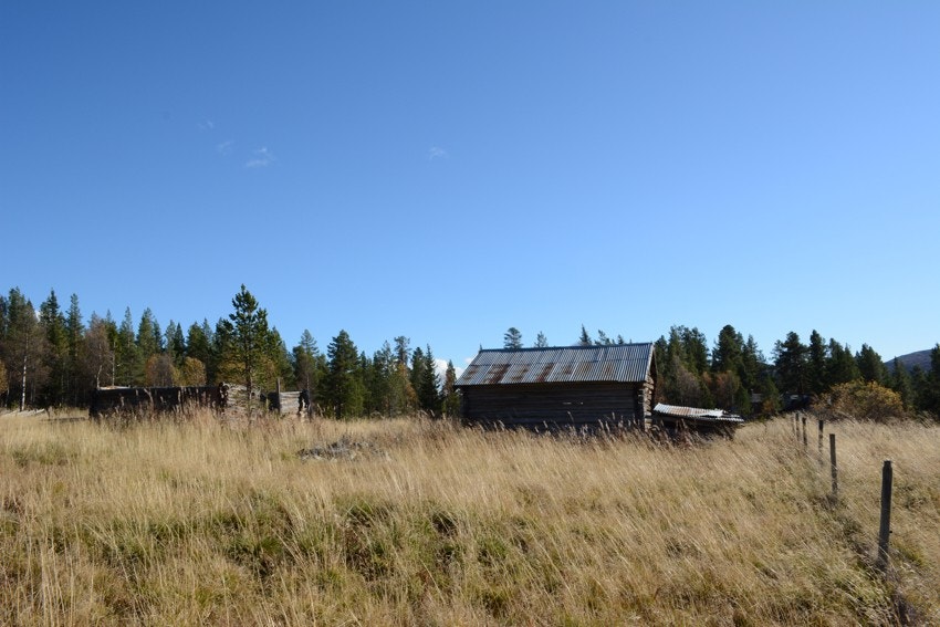 Setra på Granåsen. Galleribilde