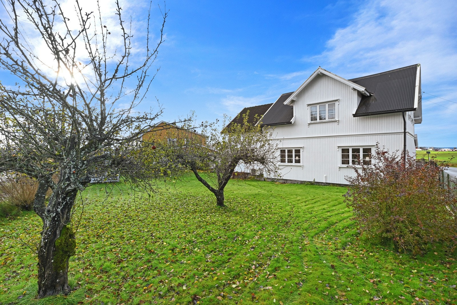 Hage med frukttrær Galleribilde