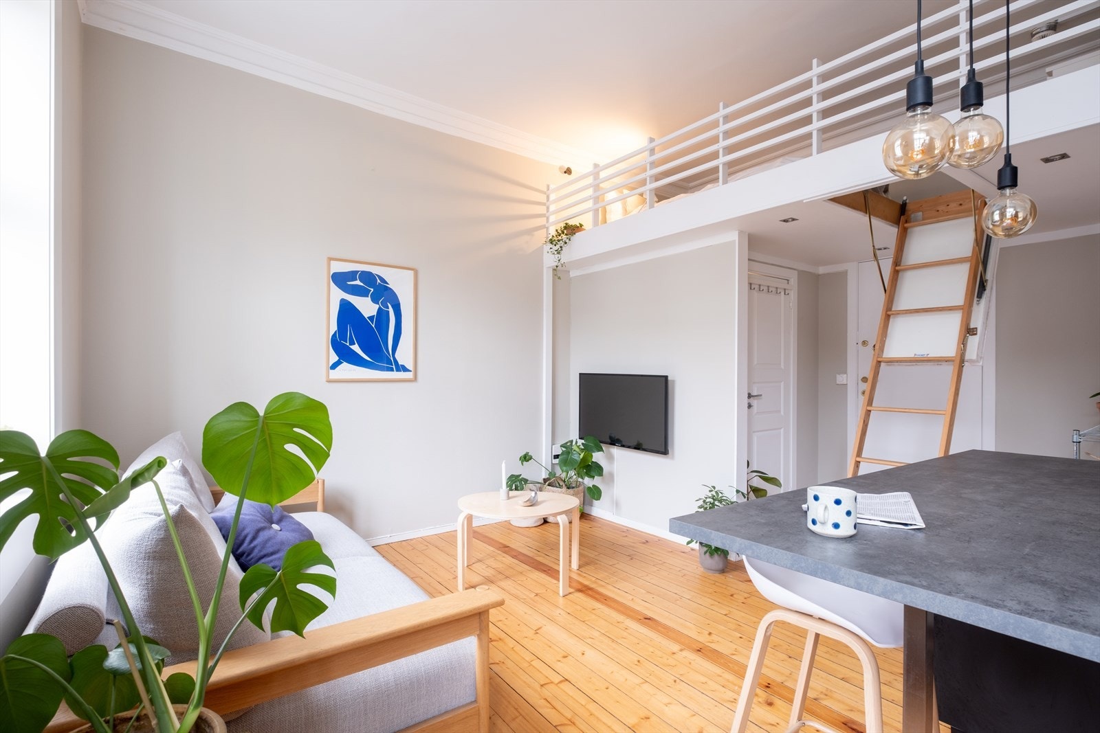 Meget attraktiv studioleilighet på 26 kvm. Galleribilde