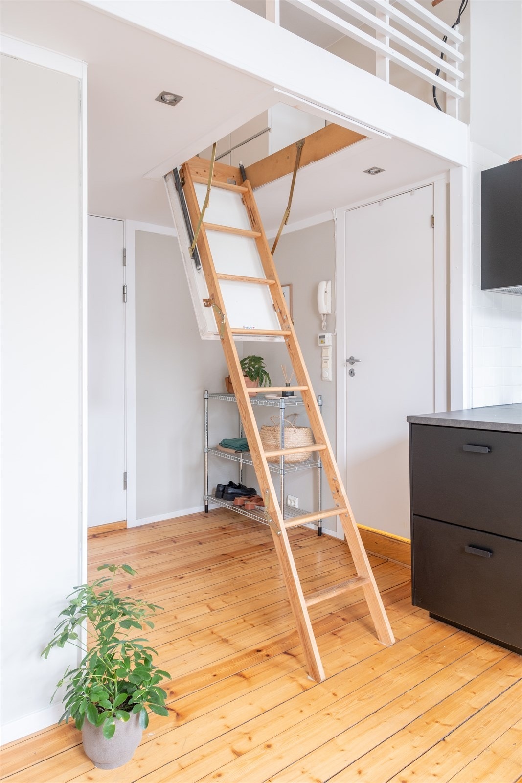 Adkomst til hems fra stue/kjøkken med loftsstige i tre. Stigen kan enkelt tas opp og ned, så man får utnyttet boligens areal maksimalt. Galleribilde