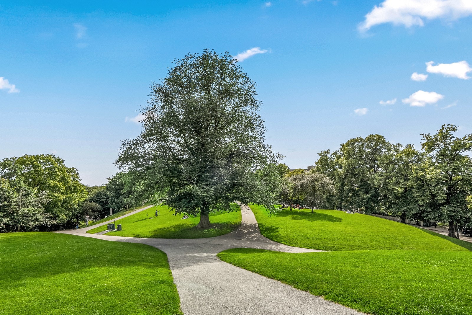 Vakre Stensparken ligger en liten rusletur unna deres nye hjem. Galleribilde