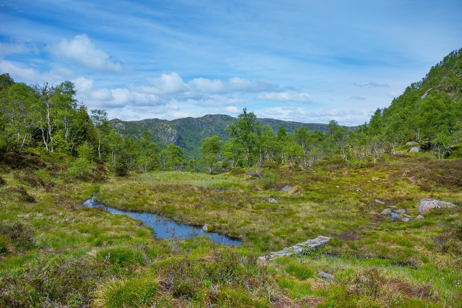 Tursti ovenfor Mågestøl Galleribilde