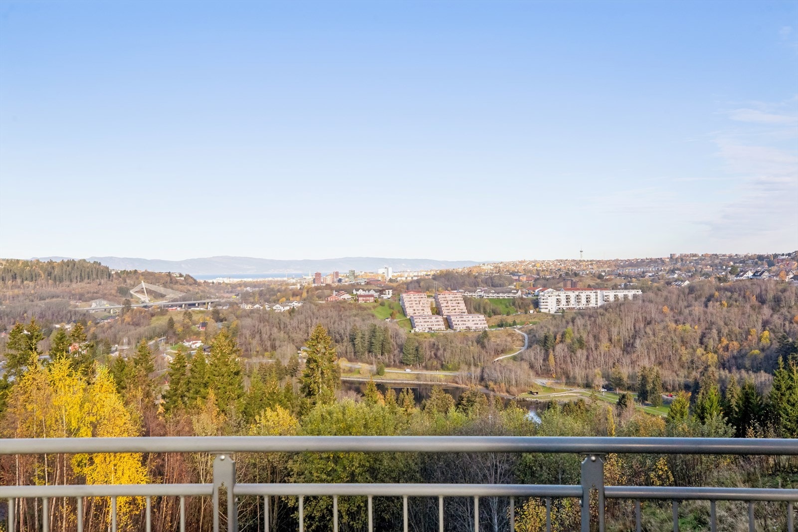 Velkommen på hyggelig visning! Galleribilde