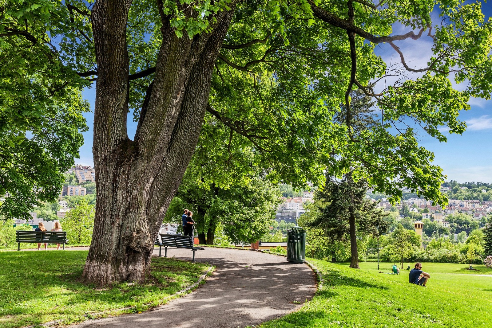 Det er kort vei til Middelalderparken og Kampen Park. Dette er bare noen av parkene som gjør bydelen til en av de grønneste i Oslo. Man kan i tillegg ta turen til Tøyenparken med populære Tøyenbadet, Botanisk hage og Botsparken. Galleribilde