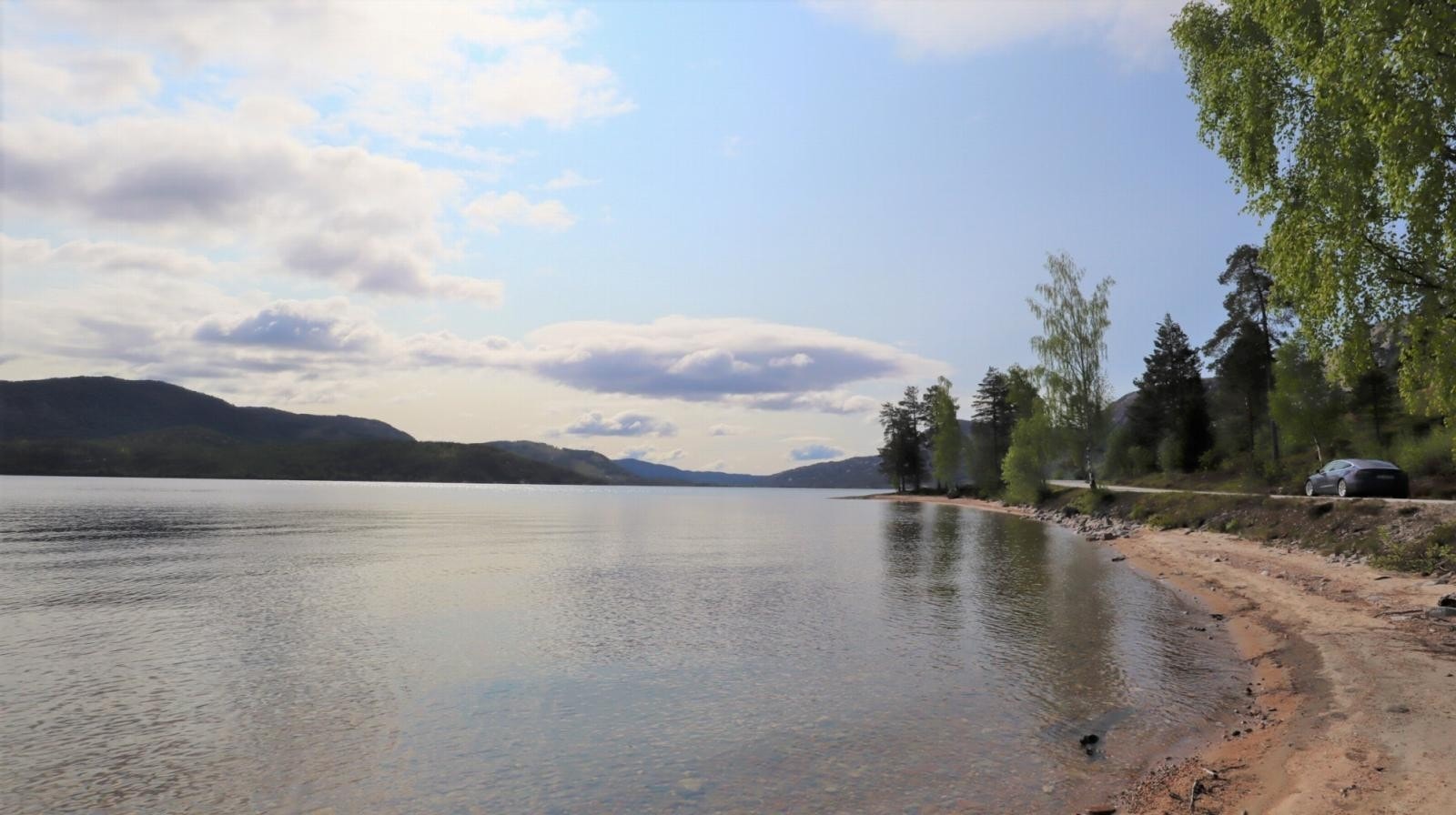 Fra området Galleribilde