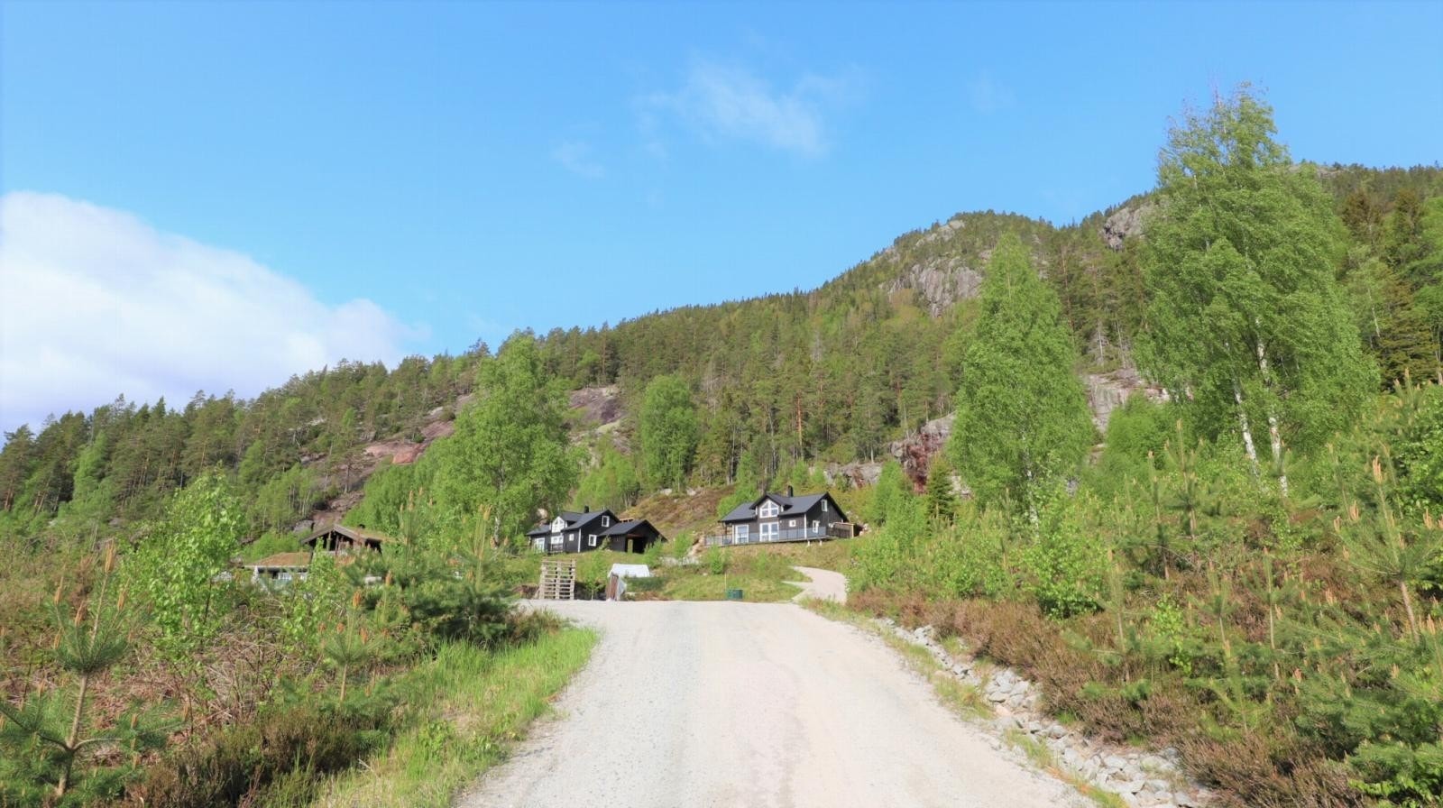 Fra området Galleribilde