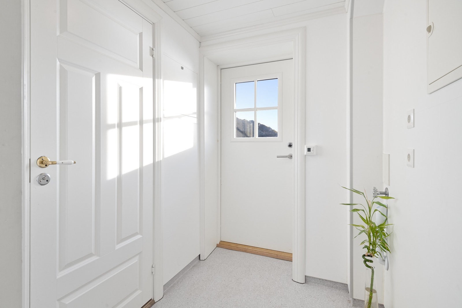 Vindfang i kjeller Galleribilde