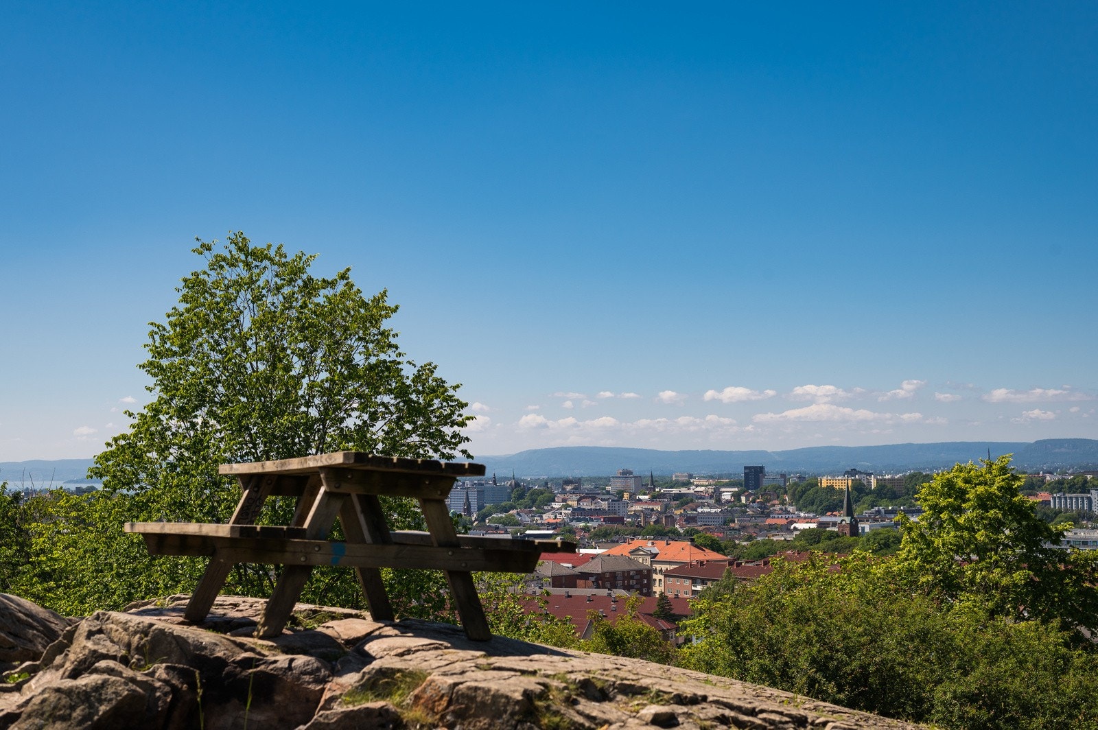 Kort vei til flere parker og grønne lunger. Galleribilde