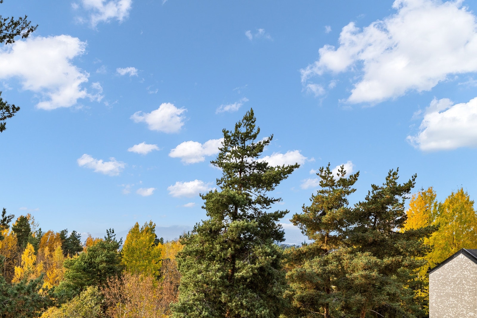 Utsikt fra balkongen Galleribilde