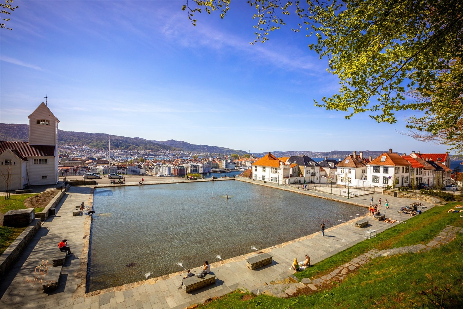 - 6 minutter unna leiligheten finner du Skansedammen - Galleribilde