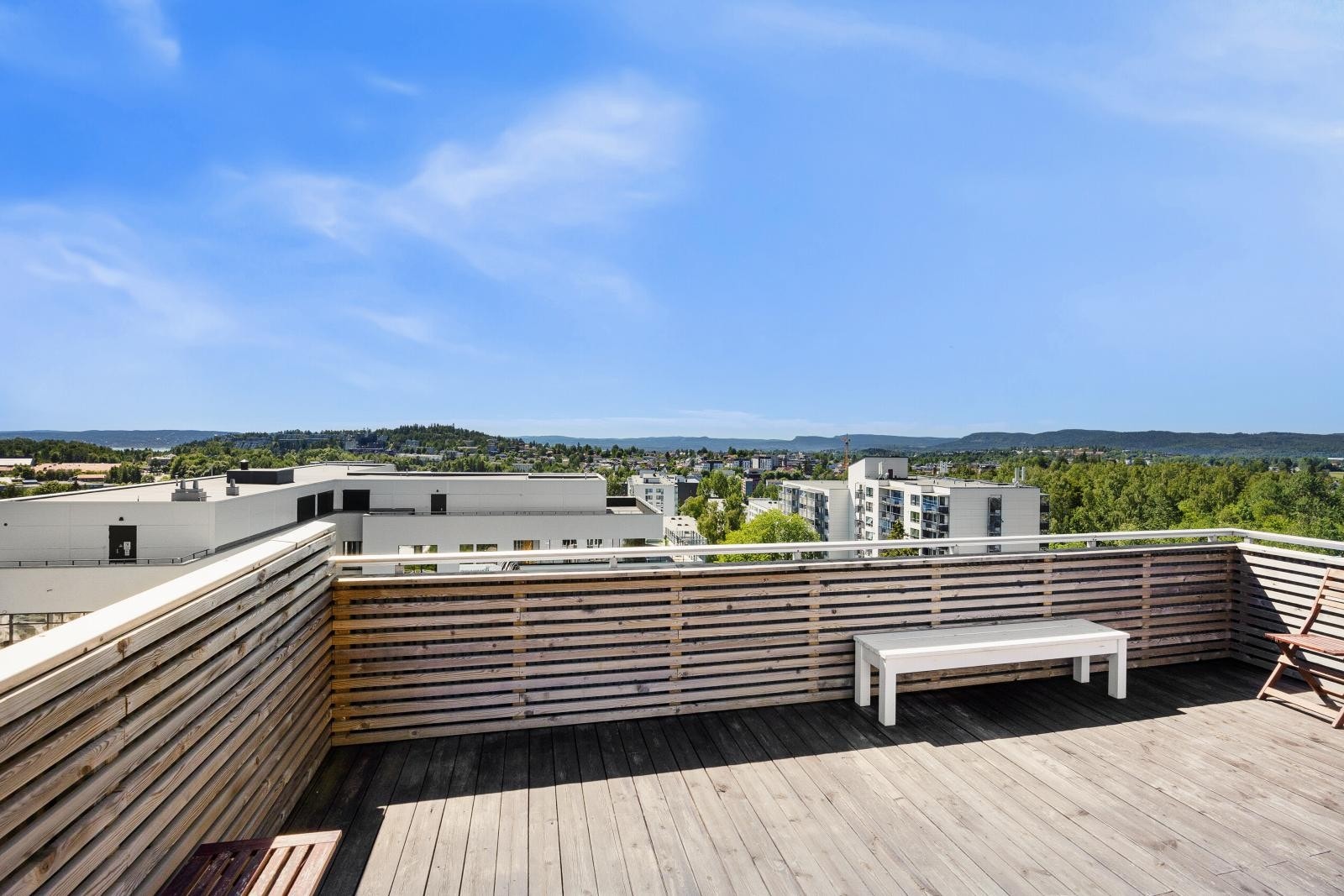 Felles takterrasse Galleribilde