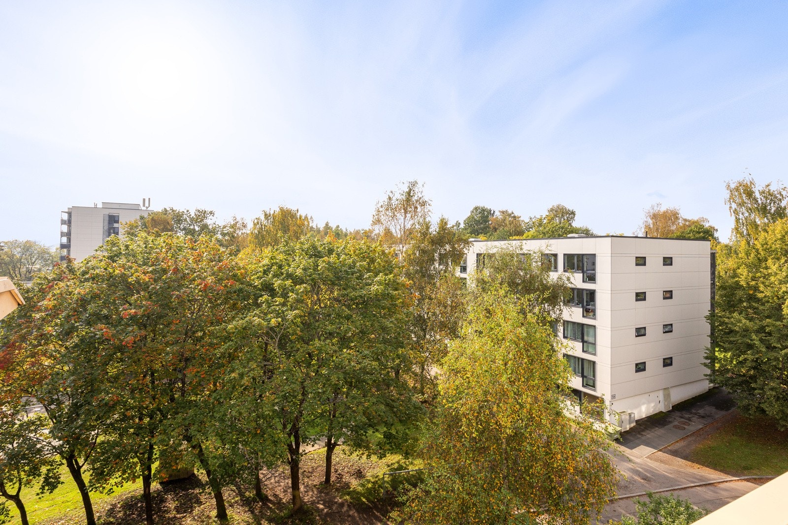 Rett utenfor leiligheten vokser en treklynge, som tilfører grønn idyll på sommerstid. Galleribilde