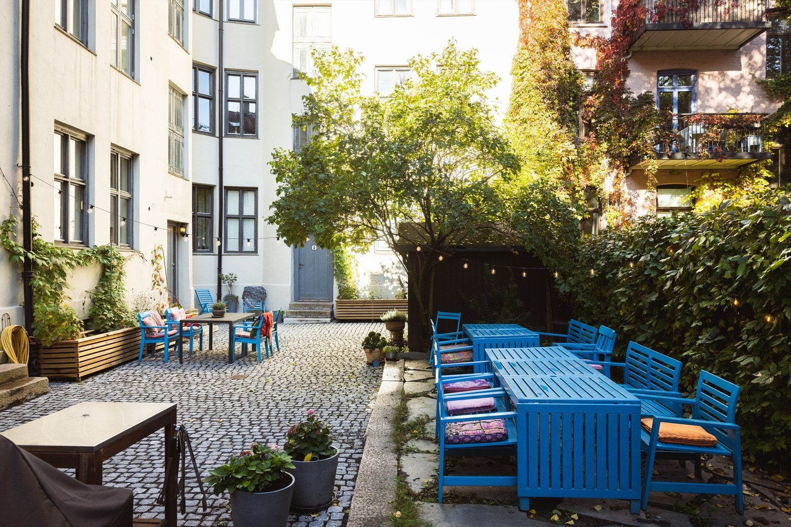 Sameiet har en meget flott bakgård med flere sittegrupper og beplantning! Galleribilde