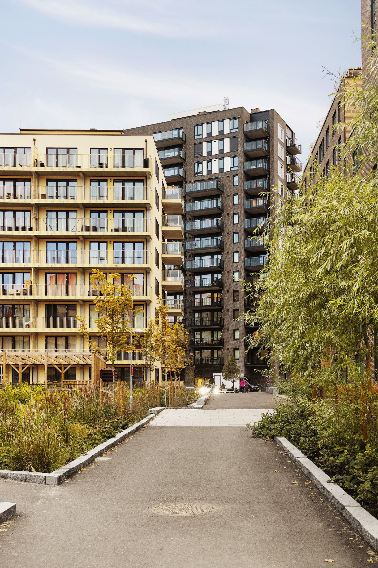 Nærområde. Galleribilde