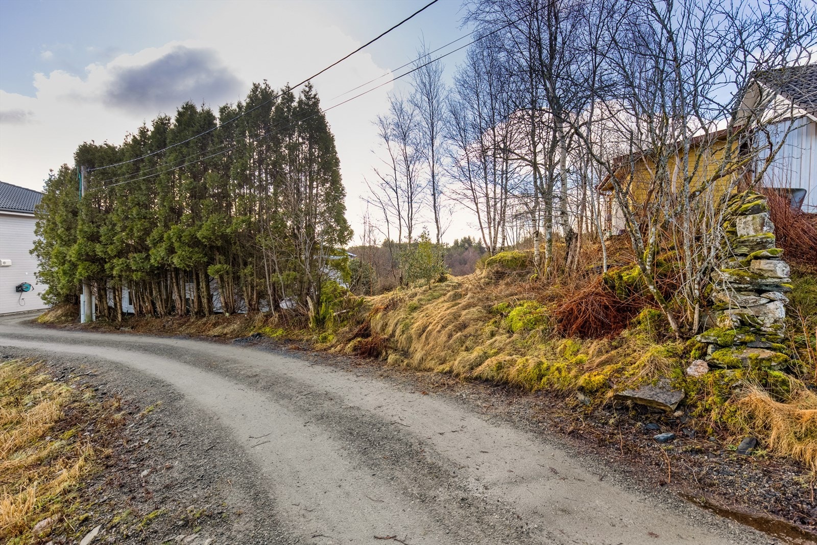 Innkjøring fra tomten ved gruset privatvei. Galleribilde
