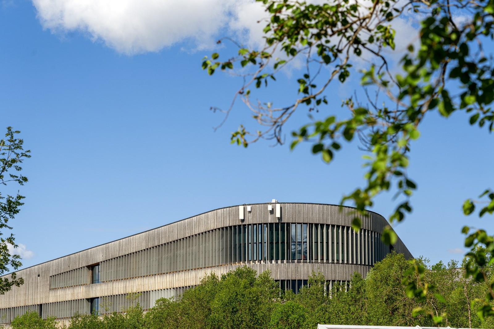 Barnehage og skoler (1-13. trinn) ligger i gangavstand fra boligen (bilde av Tromstun skole).