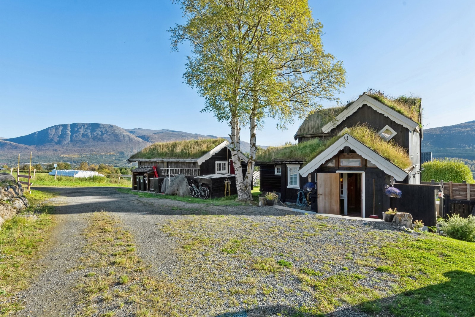 Tunet med utsikt mot Almanberget i øst Galleribilde