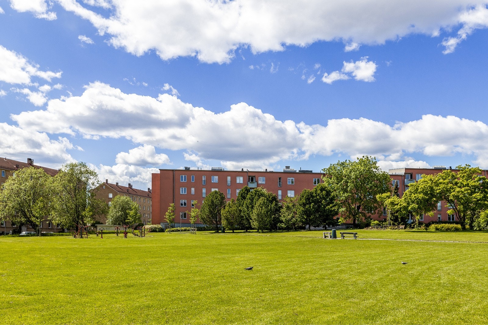 Nærområdet - Teisenparken. Galleribilde