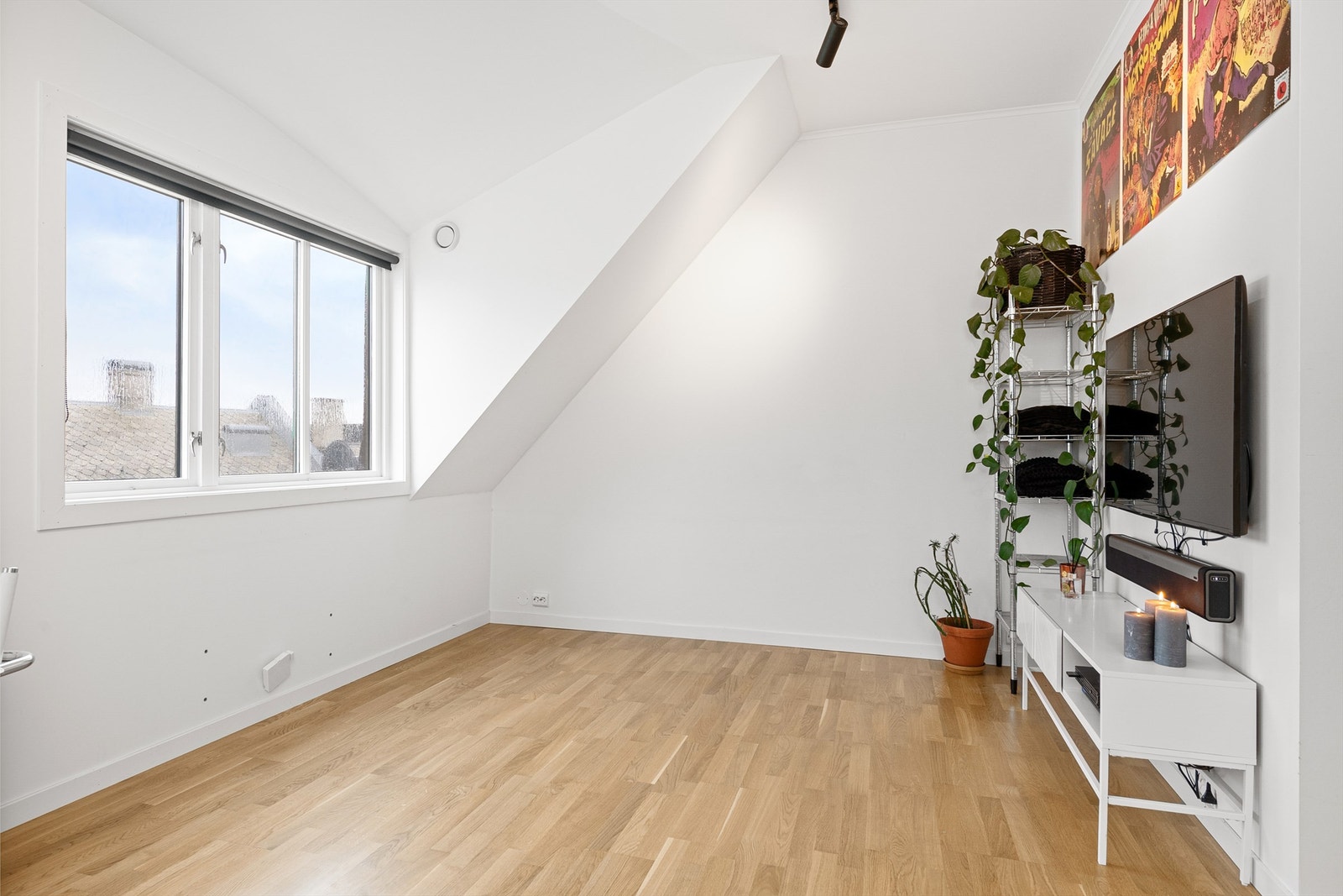Tv-hjørnet Galleribilde
