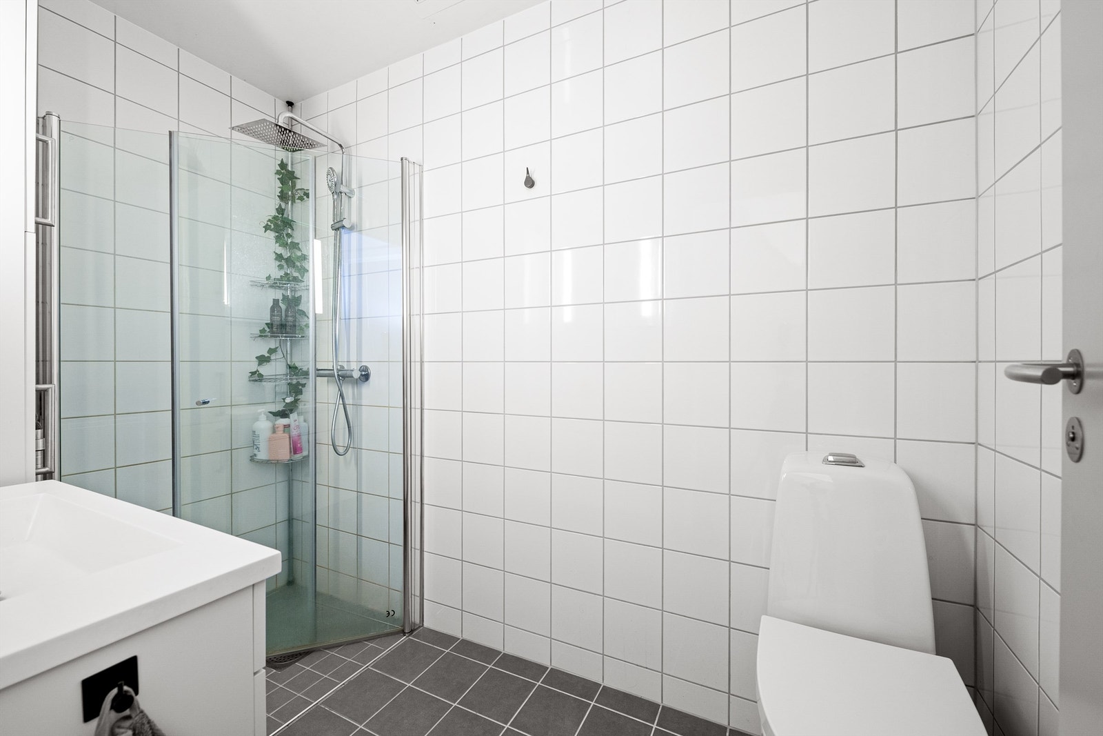 Badet ble oppgradert i 2015. Galleribilde