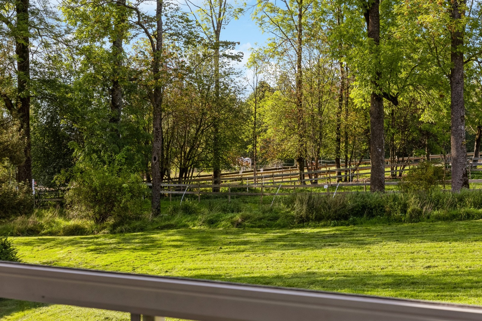 Beliggende i naturskjønne omgivelser Galleribilde