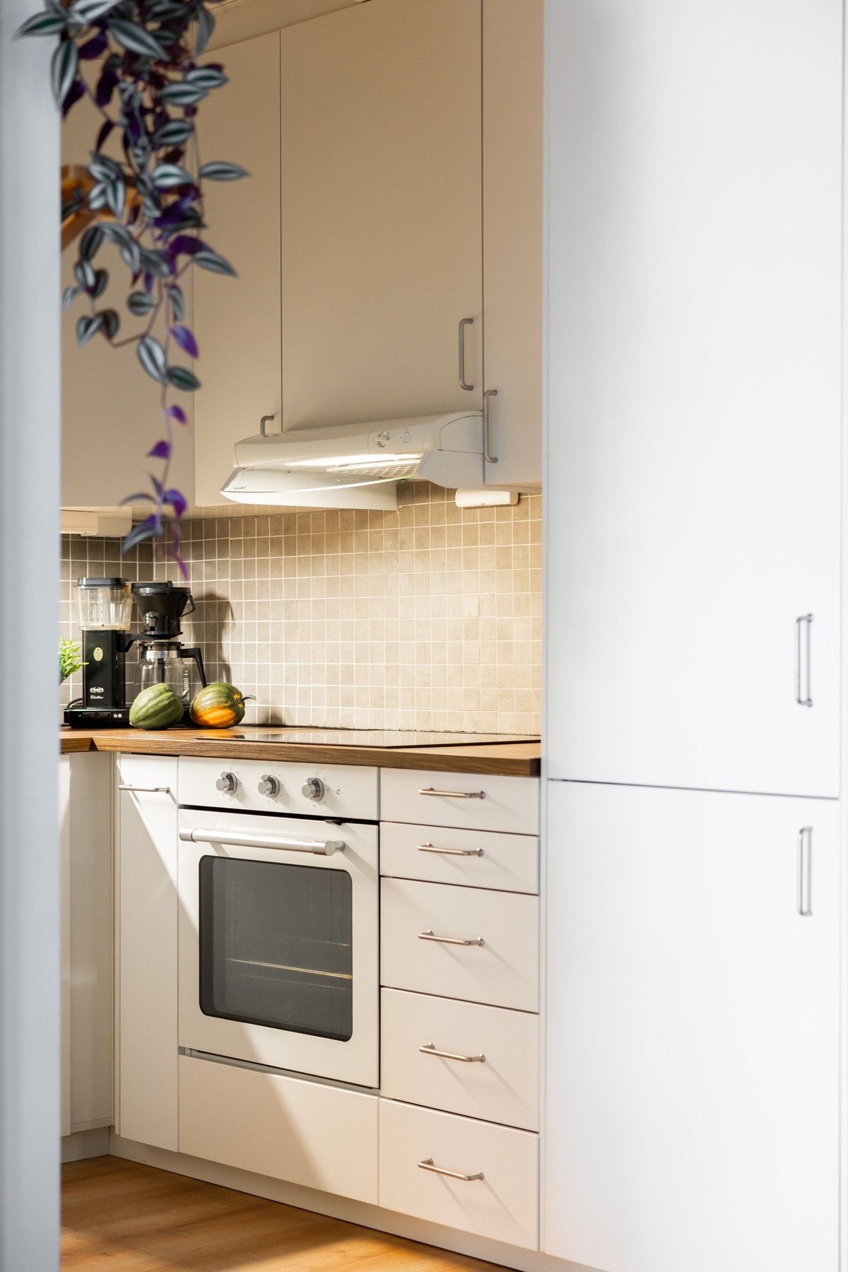 Det er stekeovn, induksjonstopp, oppvaskmaskin og kjøleskap med fryser som medfølger. Galleribilde