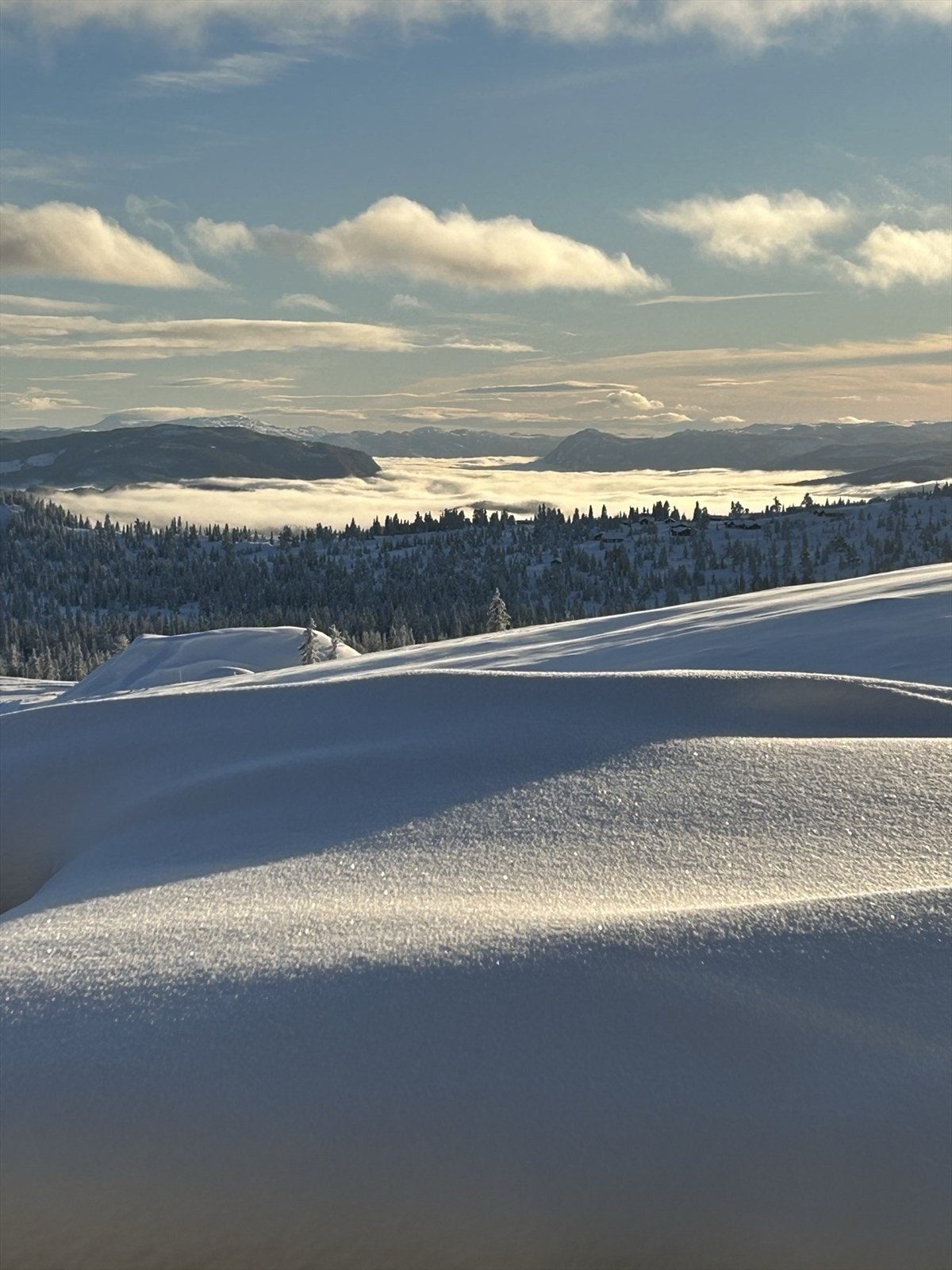 Utsikt mot Hallingdal. Selgers egne bilder. Galleribilde