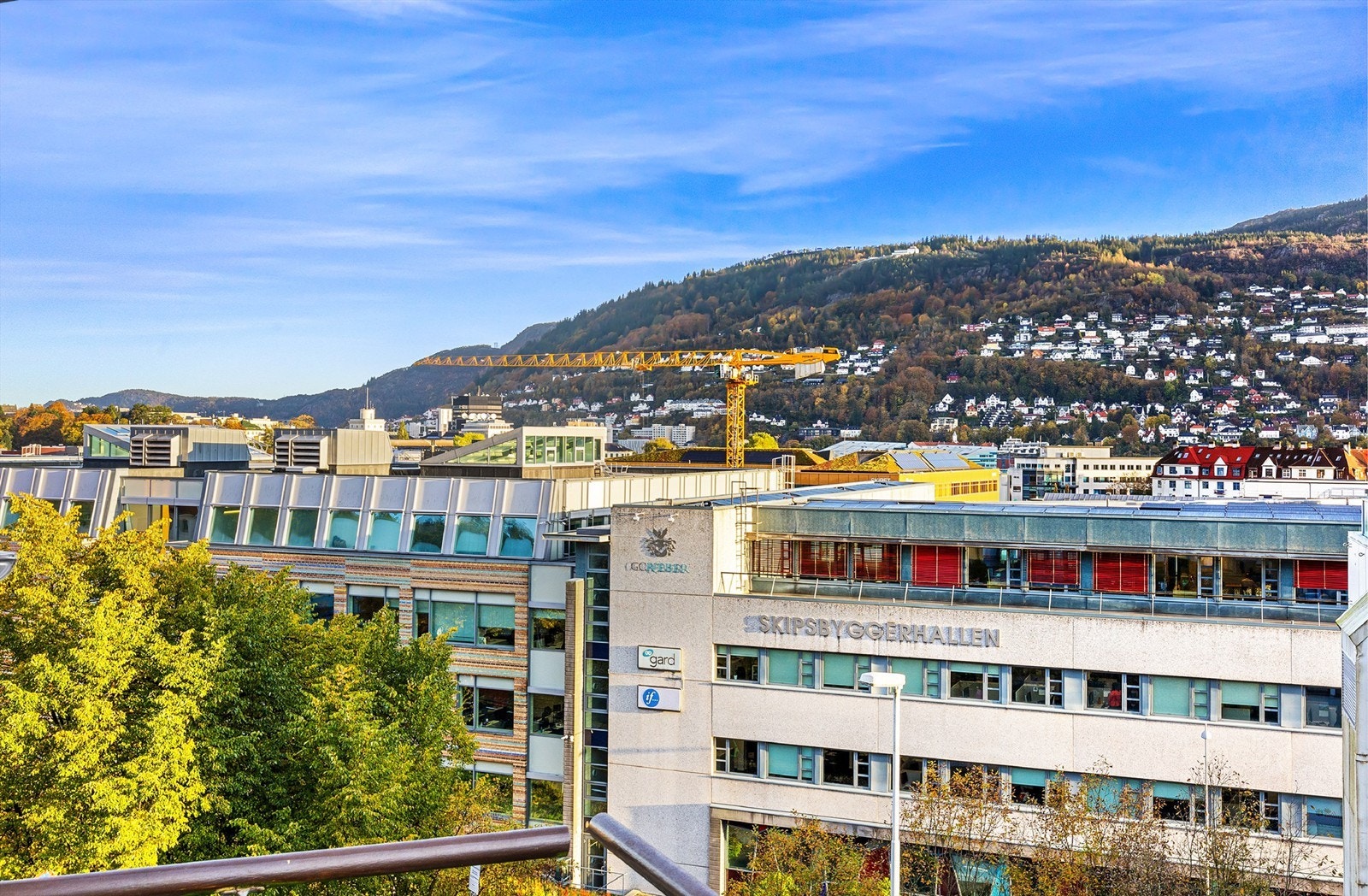 Her bor man sentrumsnært med kort avstand til flere studieinstitusjoner, samt dagligvarebutikker, spisesteder, treningssentre og friluftsområder. Galleribilde