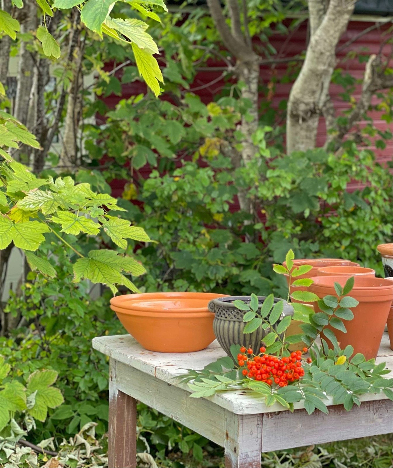 Selgers private bilder Galleribilde