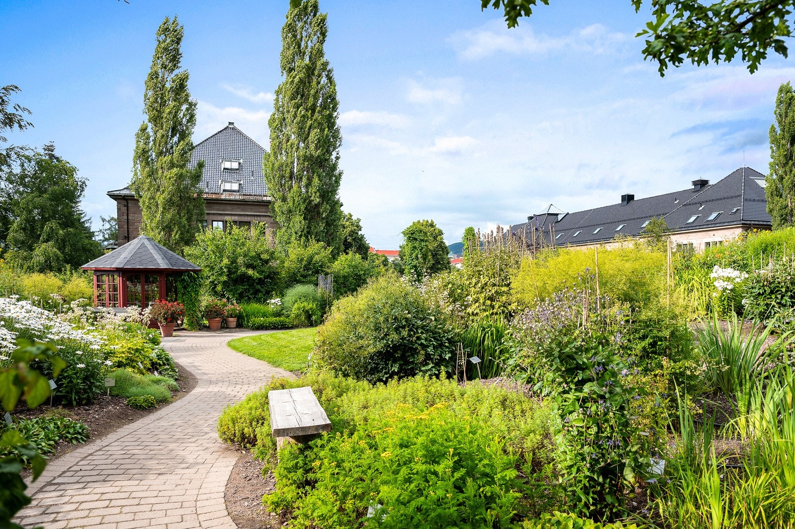 Botanisk hage Galleribilde