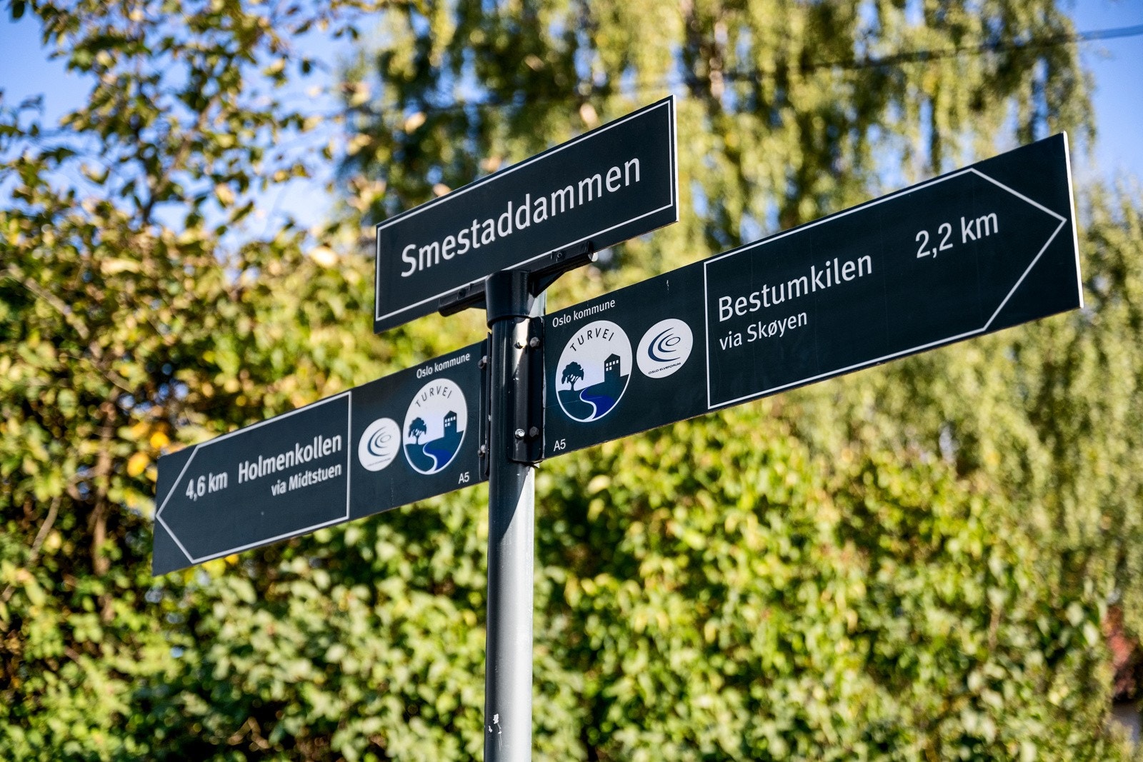 Kort vei til idylliske Smestaddammen. Galleribilde